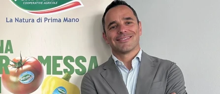 Bucchi: "Mercati all’ingrosso, il valore è ancora qui"-image