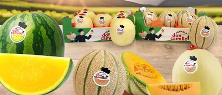 Innovazione, marca, multicanalità: il melone Don Camillo-image