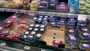 Piccoli frutti, Bologna: mirtilli sotto i 10 euro/kg