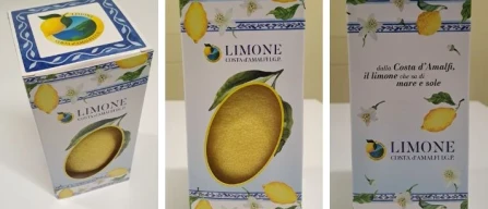 Costieragrumi al Best Fruit&Veg Box con il pack monolimone-image