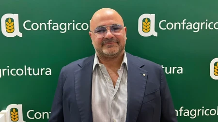 Ortaggi, Confagricoltura: “I rincari sono dovuti ai costi”