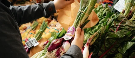 Prezzemolo e Vitale: l'ortofrutta che crea valore-image
