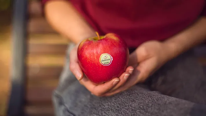 Mela Ambrosia, stabilità produttiva e nuovi mercati