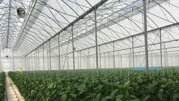 Arrigoni Group al GreenTech Amsterdam 2026