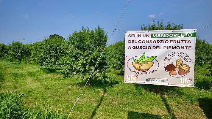 Noci e mandorle del Piemonte, cresce il progetto Life