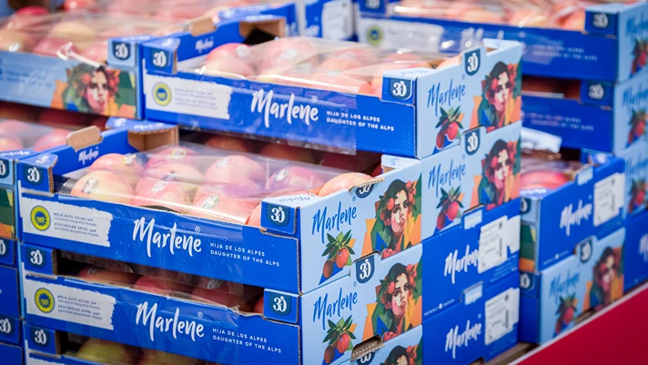 Marlene lancia "Sono il frutto della tua creatività"