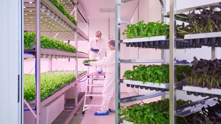 Planet Farms sedicesima nella FoodTech 500