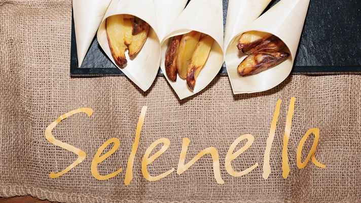 Selenella incontra il cinema