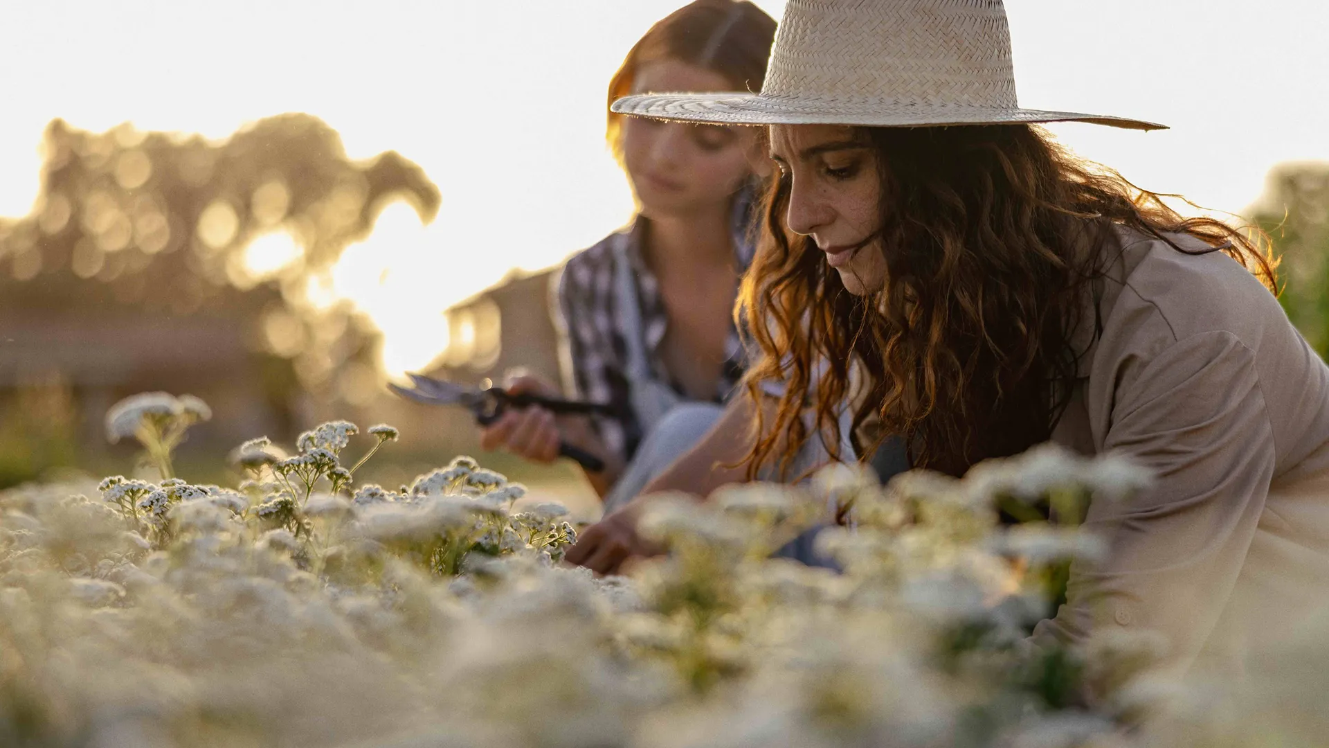 Riecco il The good farmer award