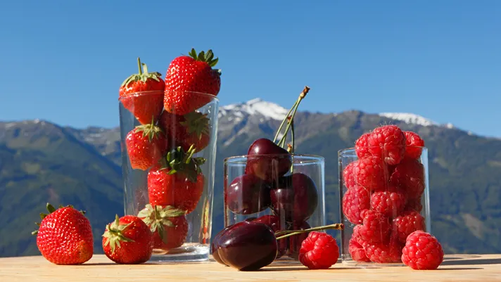 Alto Adige: bene il 2025 per ciliegie e piccoli frutti