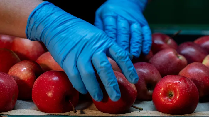 B&B Frutta prima in Veneto per export di fito-certificati