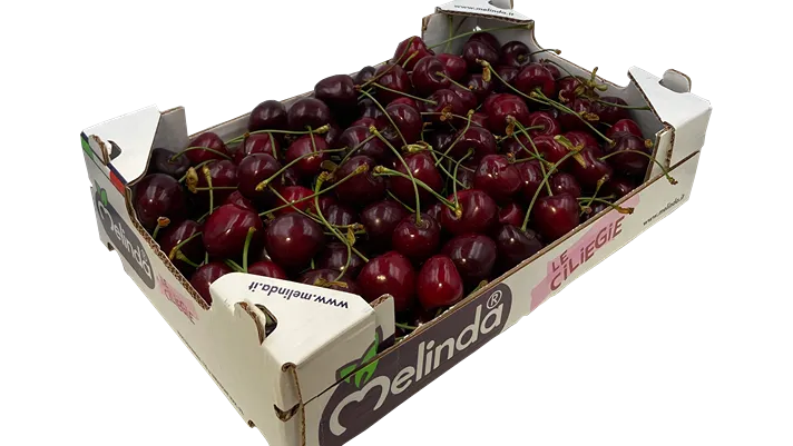 Ciliegie Melinda, al via la campagna promozionale estiva