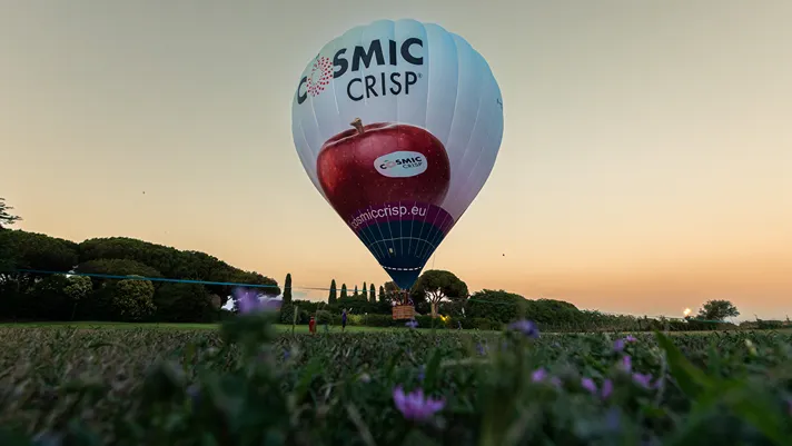 Cosmic Crisp, al via commercializzazione e promozione