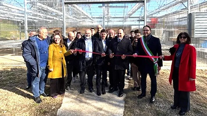 Crea, presentato il piano nazionale delle sementi biologiche