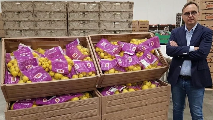 Limoni, Dole Italia per l'evoluzione del mercato