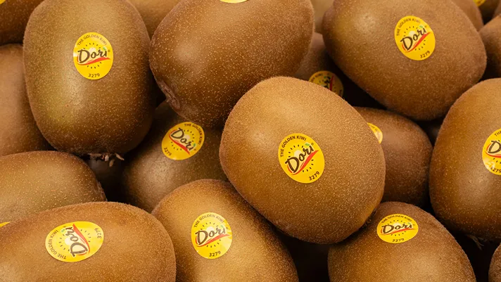 Dorì, il kiwi precoce piace nei mercati europei