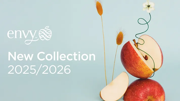 envy: il gusto è fashion