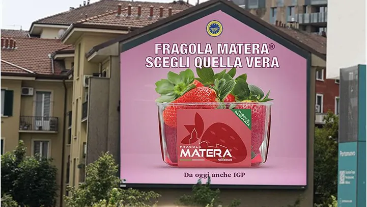 Fragola Matera protagonista al centro di Milano e Bari
