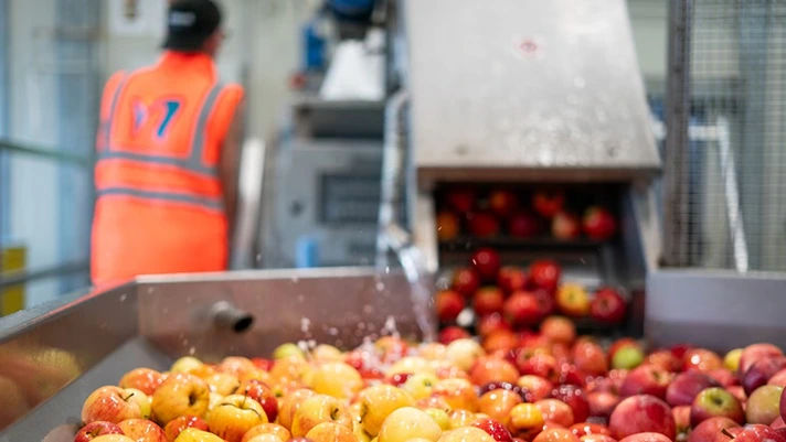 Futura pubblica il primo report di sostenibilità