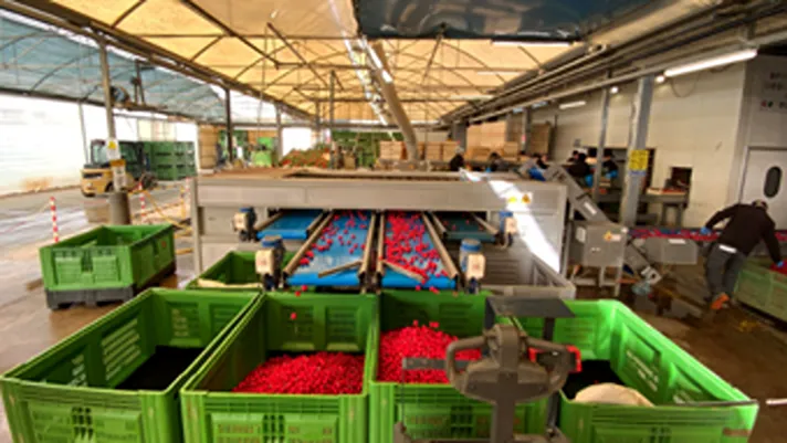 Magazzini di lavorazione: meno consumi idrici ed energetici