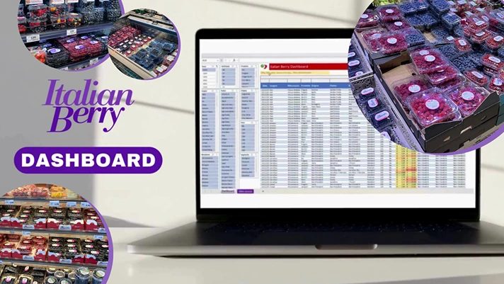 Italian Berry Dashboard: la nuova frontiera dei dati retail