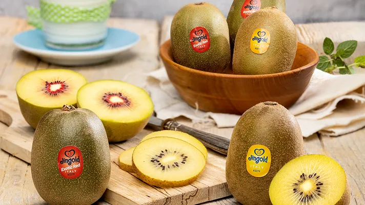 Jingold, le iniziative per promuovere sport e benessere