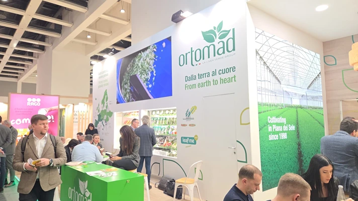 La Linea Verde, bilancio post Berlino positivo