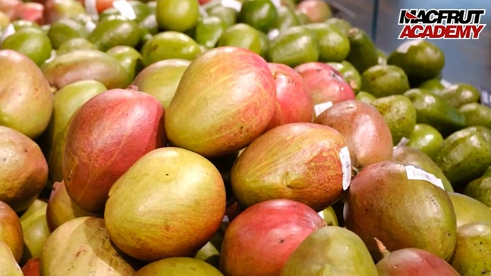 A Macfrut 2026, è "Mango and Avocado Explosion"