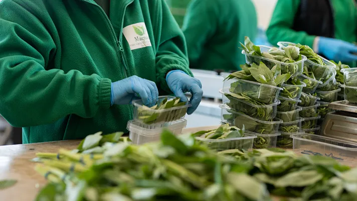 Magnani: erbe aromatiche e peperoncini pronti per la Gdo