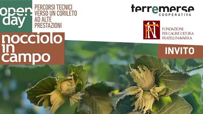 Da F.lli Navarra e Terremerse un open day sul nocciolo