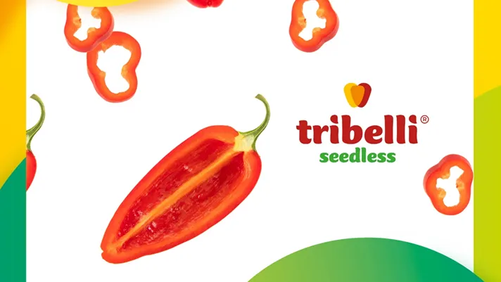 Fruit Logistica, Tribelli Seedless tra i finalisti dei Flia