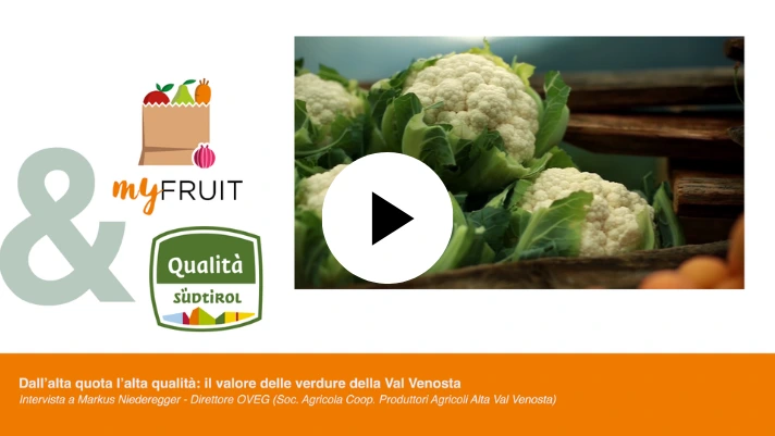 (VIDEO) Alta Val Venosta: dall'alta quota l'alta qualità