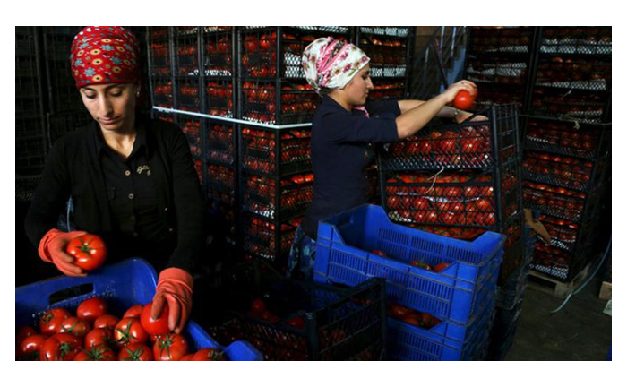 Mercato all'ingrosso di Antalya - Reuters