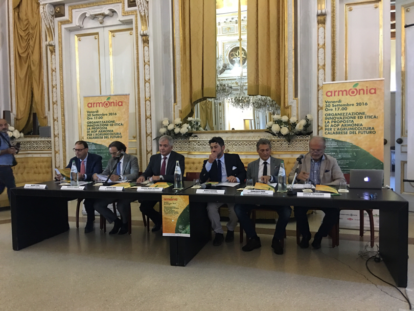 clementine_aoparmonia_calabria