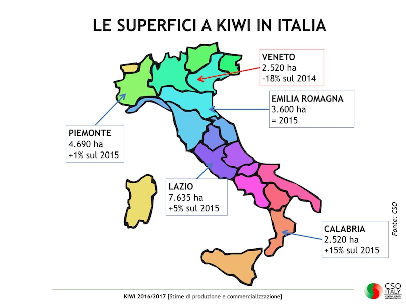 kiwi_produzioneitalia_csoitaly