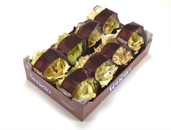 fiorfiore_Variegato_cassetta