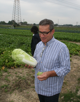 Stefano_Pazzagli_SIPO