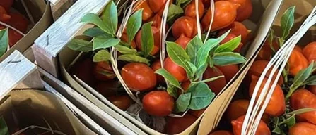 Il made in Italy? Lo tutela il nutrizionista-image