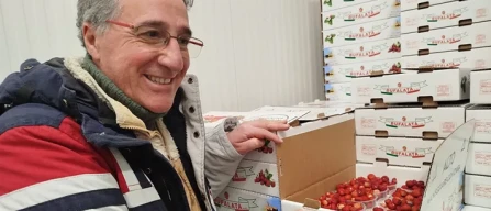 Ingrosso piccoli frutti: lamponi fino a 28 euro il chilo-image