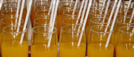 Succhi di frutta, l'efficienza energetica passa dai Pef-image