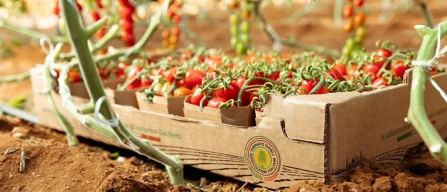 Lidl, torna la campagna Freschezza in tutti i sensi-image