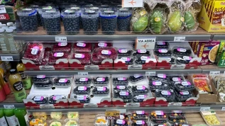 Piccoli frutti, a Bologna tante origini e prezzi elevati