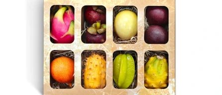 Lo Scrigno del Pirata, Mc Garlet porta l’avventura nel pack-image