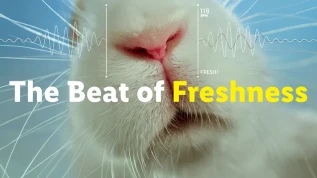 "The beat of freshness", così Lidl racconta frutta e verdura