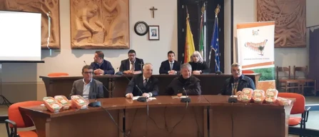 Fresca e di stagione: ecco la carota novella di Ispica Igp-image