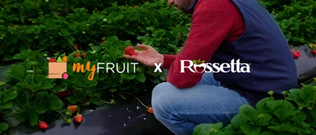 Video: in Basilicata, dove nascono le fragole premium-image