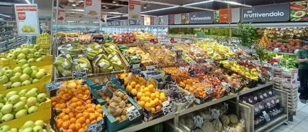 Ekom, nuova apertura nel Torinese-image