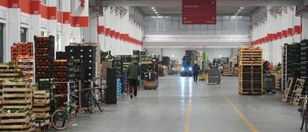 Foody 2025 in ritardo? Solo sei mesi-image