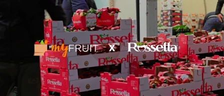 Video: Le fragole al mercato ortofrutticolo di Milano-image