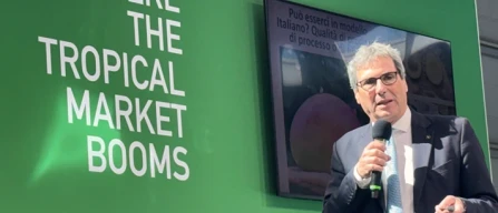 Ryanair più del clima: la rivincita del tropicale siciliano-image